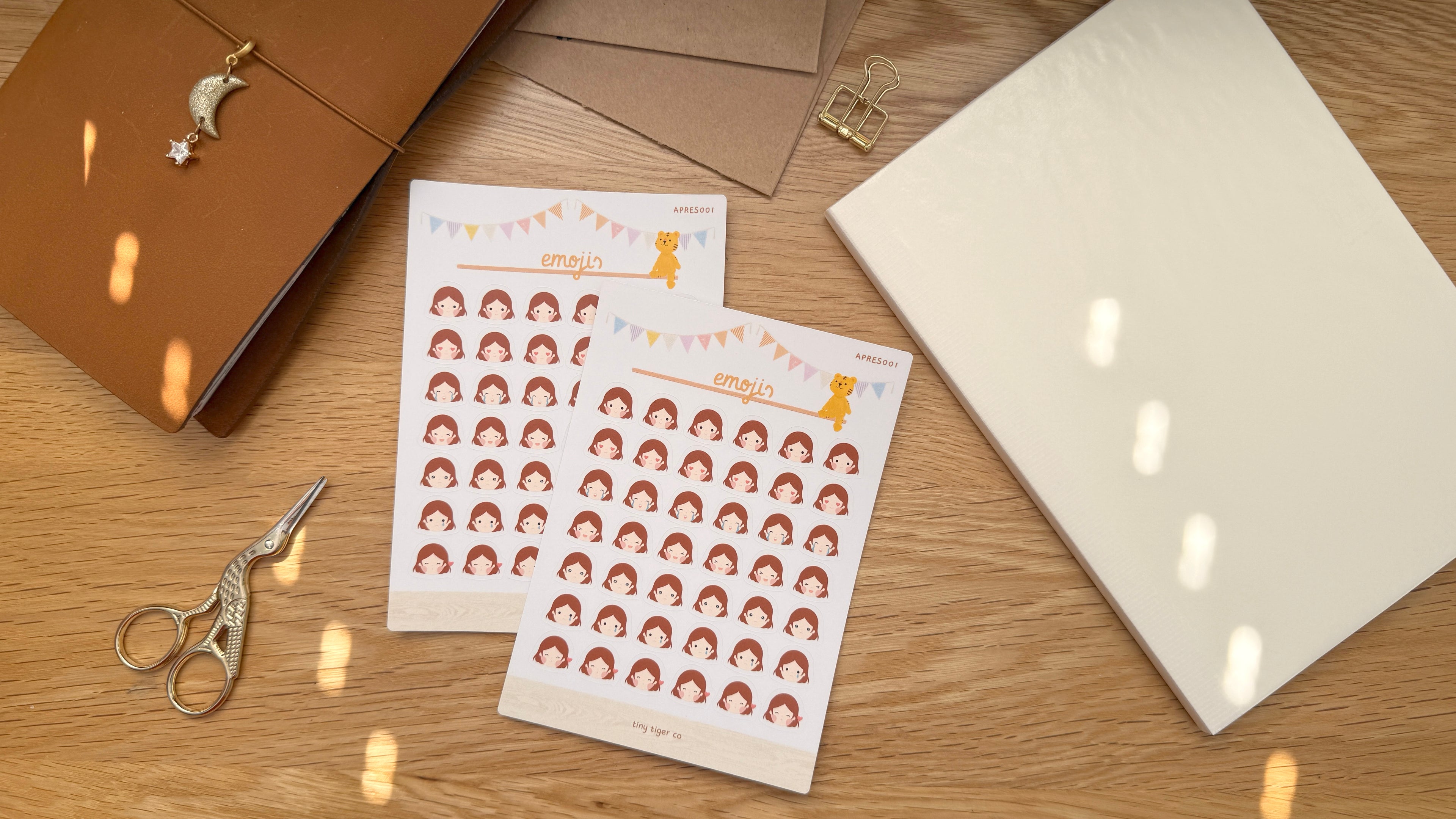 Emotions Sticker Sheet ES001